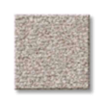 Shaw Montauk Point Warm Stone Texture Carpet with Pet Perfect-Sample